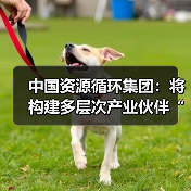 资源循环产业生态创新升级路径分析(图1)