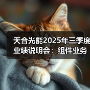 光伏组件海外销售占比提升，储能业务高速成长(图1)