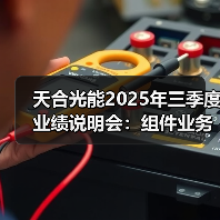 光伏组件海外销售占比提升，储能业务高速成长(图4)