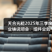 光伏组件海外销售占比提升，储能业务高速成长(图3)