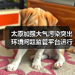 太原市大气污染监管平台运行效能提升(图4)