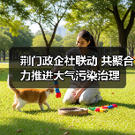 荆门蓝天保卫战：政企公众协同治污成效显著(图3)