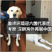 盈峰环境六国代表团考察 中国方案助力全球环境治理(图2)