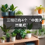三明市四地荣膺中国天然氧吧称号(图1)