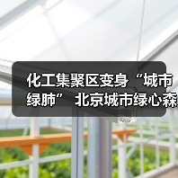 城市绿心森林公园：工业区生态修复与城市转型典范(图1)
