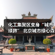 城市绿心森林公园：工业区生态修复与城市转型典范(图4)