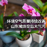潍坊市上半年空气质量改善显著 PM2.5浓度降14%(图3)