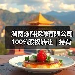 湖南烁科能源股权转让|光伏生产线及电站资产处置(图1)