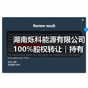 湖南烁科能源股权转让|光伏生产线及电站资产处置(图2)
