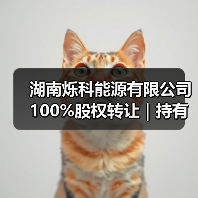 湖南烁科能源股权转让|光伏生产线及电站资产处置(图3)