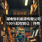 湖南烁科能源股权转让|光伏生产线及电站资产处置(图4)