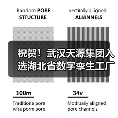 湖北数字孪生工厂标杆企业天源集团入选双项(图1)