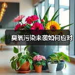 生态环境部加强臭氧监测应对夏季污染挑战(图4)