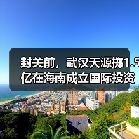 海南自贸港封关前政策红利，武汉天源布局投资(图1)