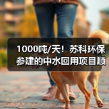 工业中水回用工艺优化提升效率(图4)