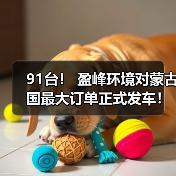 盈峰环境91台环卫装备出口蒙古(图3)
