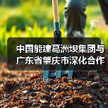 深化产业合作 共促湾区发展(图2)