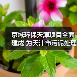 天津污泥干化焚烧项目建成运营 助力京津冀环保升级(图4)