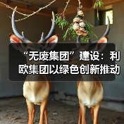 浙江企业探索无废新路径：绿色转型与固废管理创新(图2)