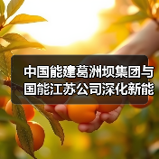 能源企业携手深化合作共推绿色能源转型(图3)