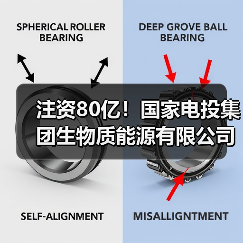 注资80亿！国家电投集团生物质能源有限公司成立(图3)