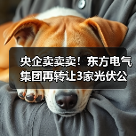 央企卖卖卖！东方电气集团再转让3家光伏公司股权(图4)