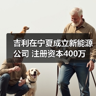 吉利在宁夏成立新能源公司 注册资本400万(图4)