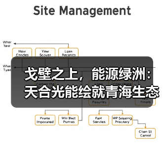 戈壁之上，能源绿洲：天合光能绘就青海生态发展新图景(图1)