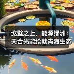 戈壁之上，能源绿洲：天合光能绘就青海生态发展新图景(图3)