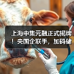 储能产业协同新势力，助力零碳能源发展(图3)