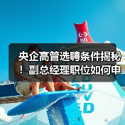 国家电投集团副总经理选聘条件、资格及流程详解(图3)