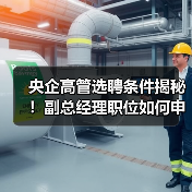 国家电投集团副总经理选聘条件、资格及流程详解(图2)