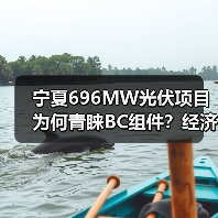 BC组件经济性优势引行业关注(图4)