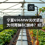 BC组件经济性优势引行业关注(图1)