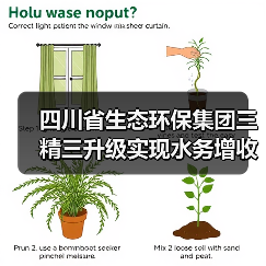 水务板块增收又增利，四川省生态环保集团如何实现三精三升级？(图1)