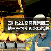 水务板块增收又增利，四川省生态环保集团如何实现三精三升级？(图3)
