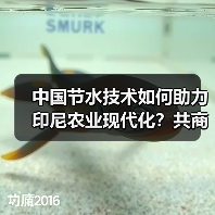 中国节水技术赋能印尼农业发展，合作前景可期(图2)