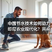 中国节水技术赋能印尼农业发展，合作前景可期(图4)