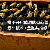 能源转型新引擎：金融租赁与数字能源如何联手推进绿色升级？(图4)