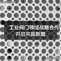 工业阀门领域战略合作开启共赢新篇(图2)
