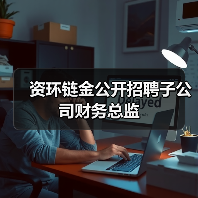 资环链金公开招聘子公司财务总监(图4)