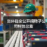 资环链金公开招聘子公司财务总监(图2)