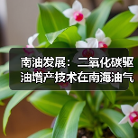 南油发展:二氧化碳驱油增产技术在南海油气田成功应用(图4) 南油发展:二氧化碳驱油增产技术在南海油气田成功应用(图4)
