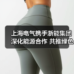 上海电气携手浙能集团深化能源合作 共推绿色转型(图2) 上海电气与浙能集团共拓新能源合作新篇(图2)