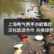 上海电气携手浙能集团深化能源合作 共推绿色转型(图1) 上海电气与浙能集团共拓新能源合作新篇(图1)