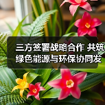 强强联手打造绿色能源新未来 | 能源环保融合如何助力双碳目标 - 玄熵良天资讯