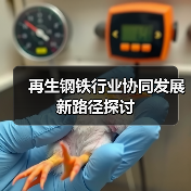 再生钢铁行业协同发展新路径探讨(图3) 再生钢铁行业协同发展新路径探讨(图3)