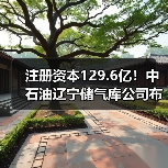 注册资本129.6亿！中石油辽宁储气库公