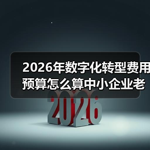 2026年数字化转型费用预算怎么算中小企业老板关心的成本分析 - 玄熵良天资讯