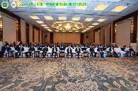 中国铝材出口暴增20%，背后三大新赛道竟然撑起半边天(图1)